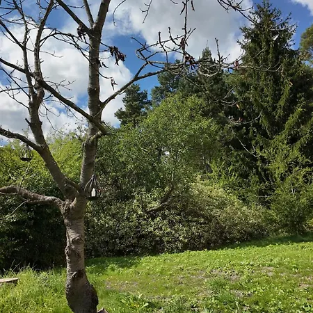 Apartment Erzliebe *